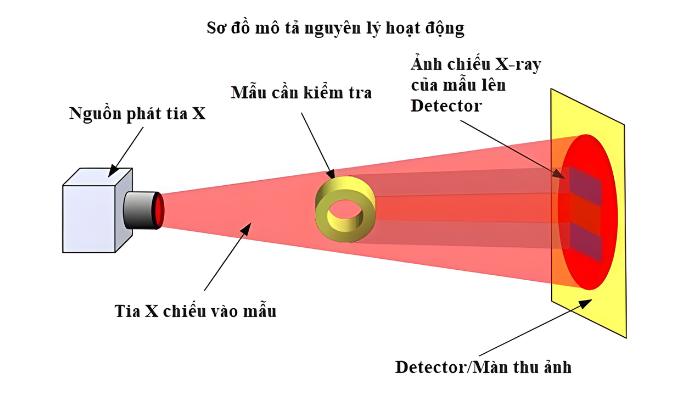 Nguyên lý hoạt động của x-ray